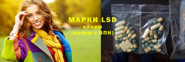 PSILOCYBIN Горнозаводск