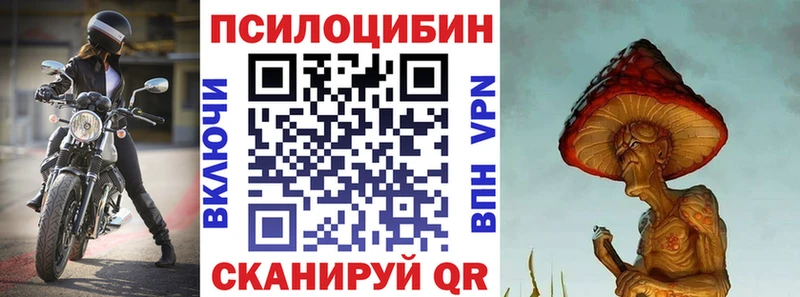 Псилоцибиновые грибы мицелий  Купить где  Кизел 